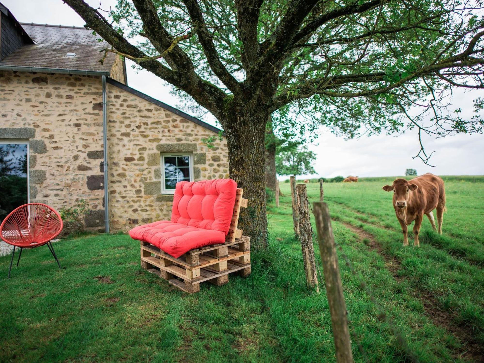 Gite De Charme Renove Avec Cheminee, Terrasse Et Proche Randonnees - Capacite 13 Pers. - Fr-1-410-179 Saint-Léonard-des-Bois Dış mekan fotoğraf